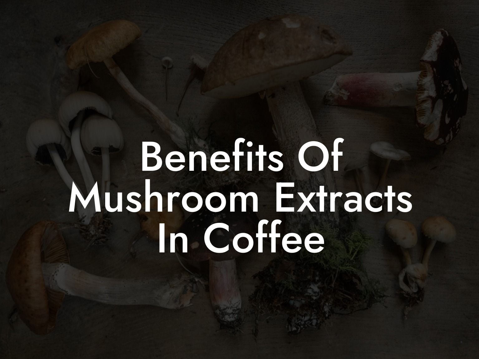 benefits-of-mushroom-extracts-in-coffee-