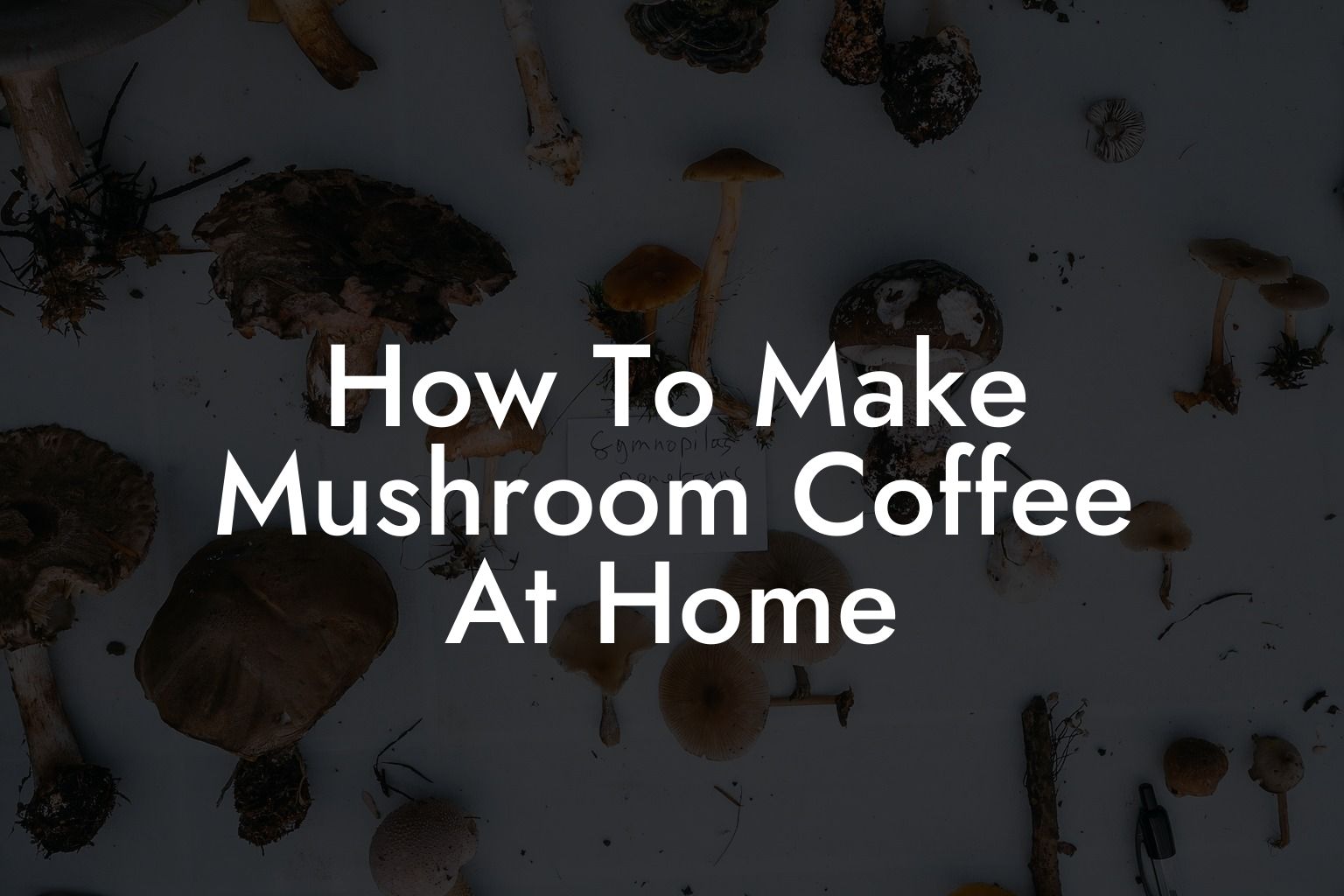 how-to-make-mushroom-coffee-at-home-mr-m