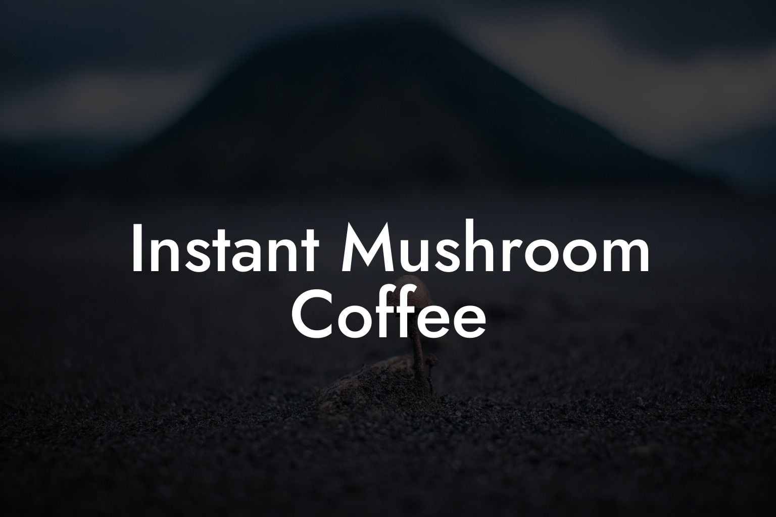 instant-mushroom-coffee-mr-mushroom-coff