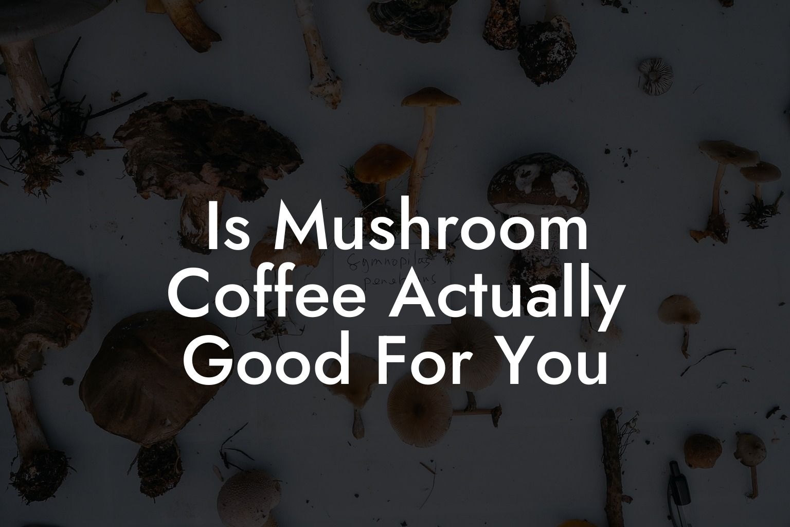 is-mushroom-coffee-actually-good-for-you