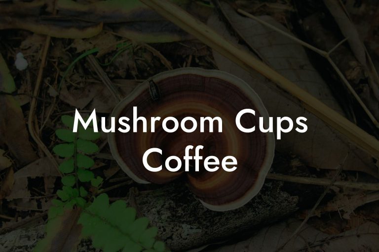 Mushroom Cups Coffee Mr Mushroom