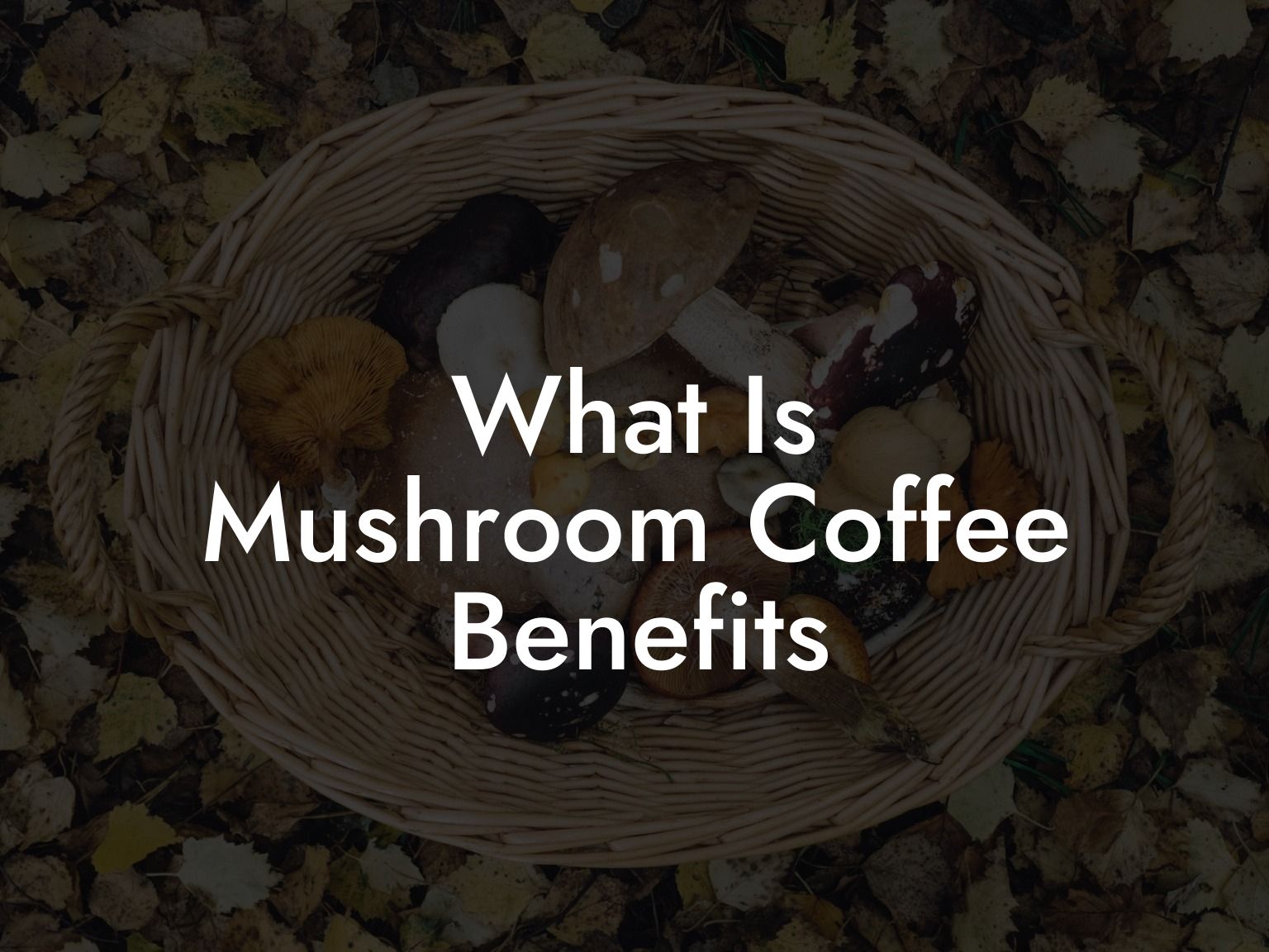 what-is-mushroom-coffee-benefits-mr-mush