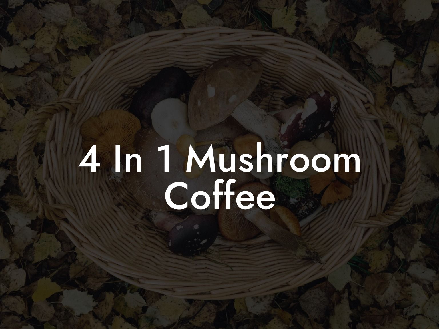 4 In 1 Mushroom Coffee