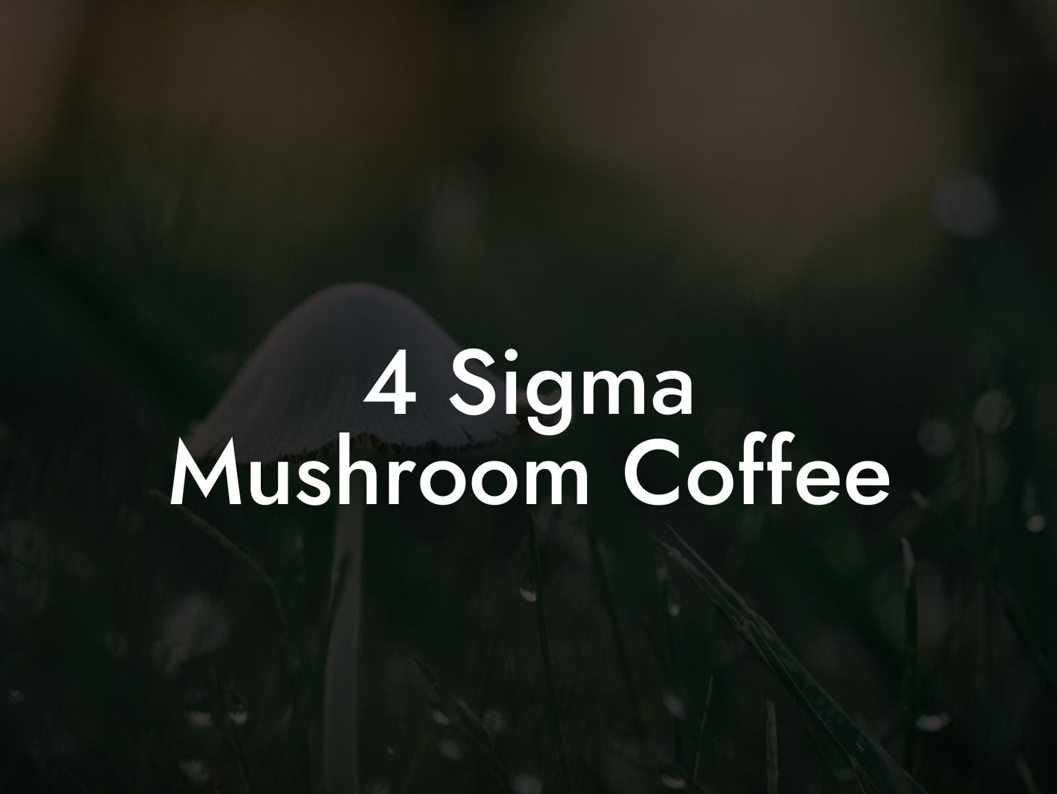 4 Sigma Mushroom Coffee