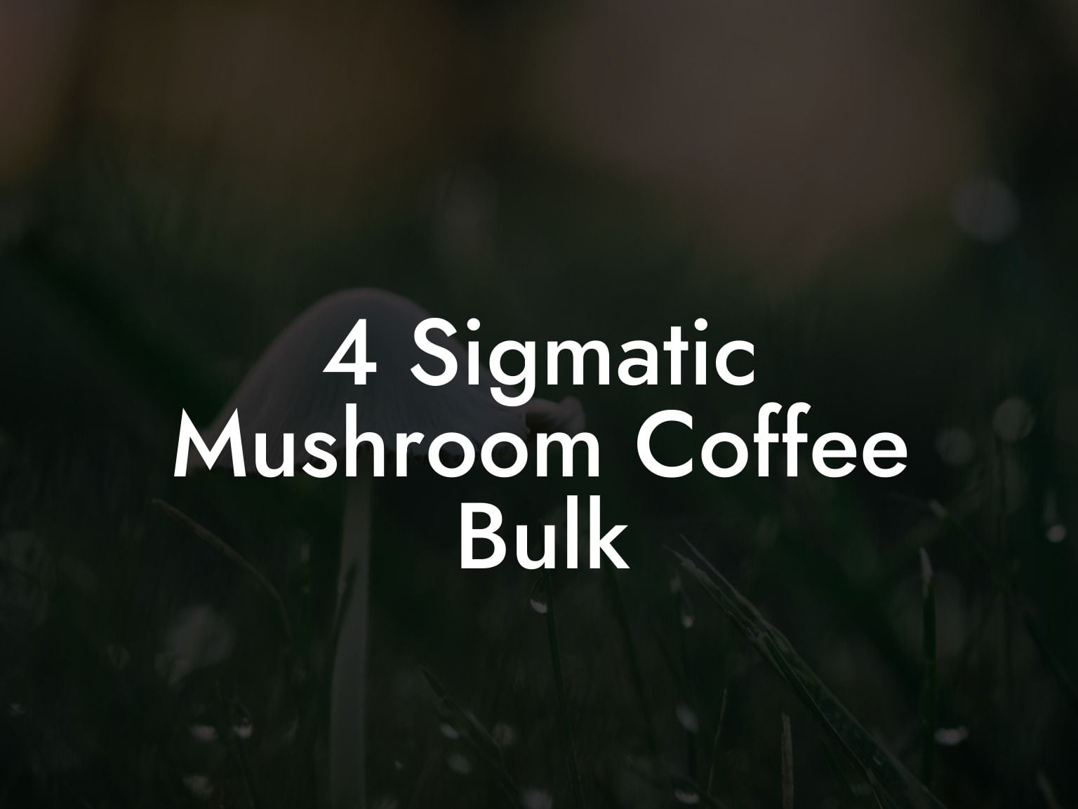 4 Sigmatic Mushroom Coffee Bulk