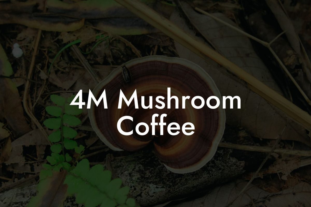 4M Mushroom Coffee
