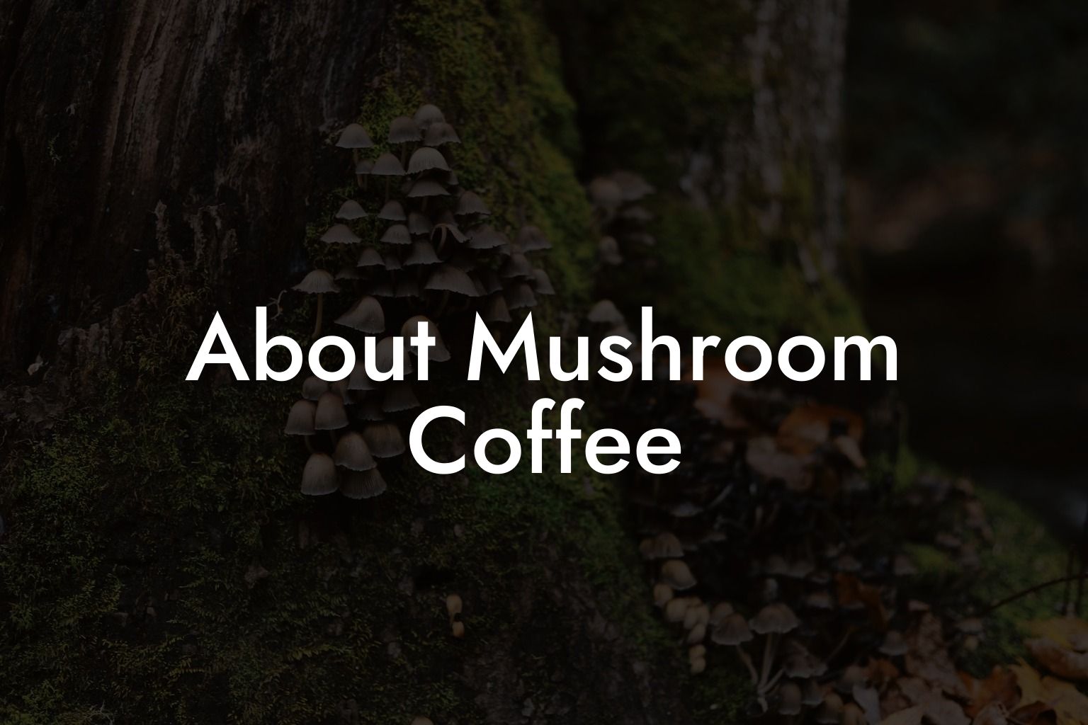 About Mushroom Coffee