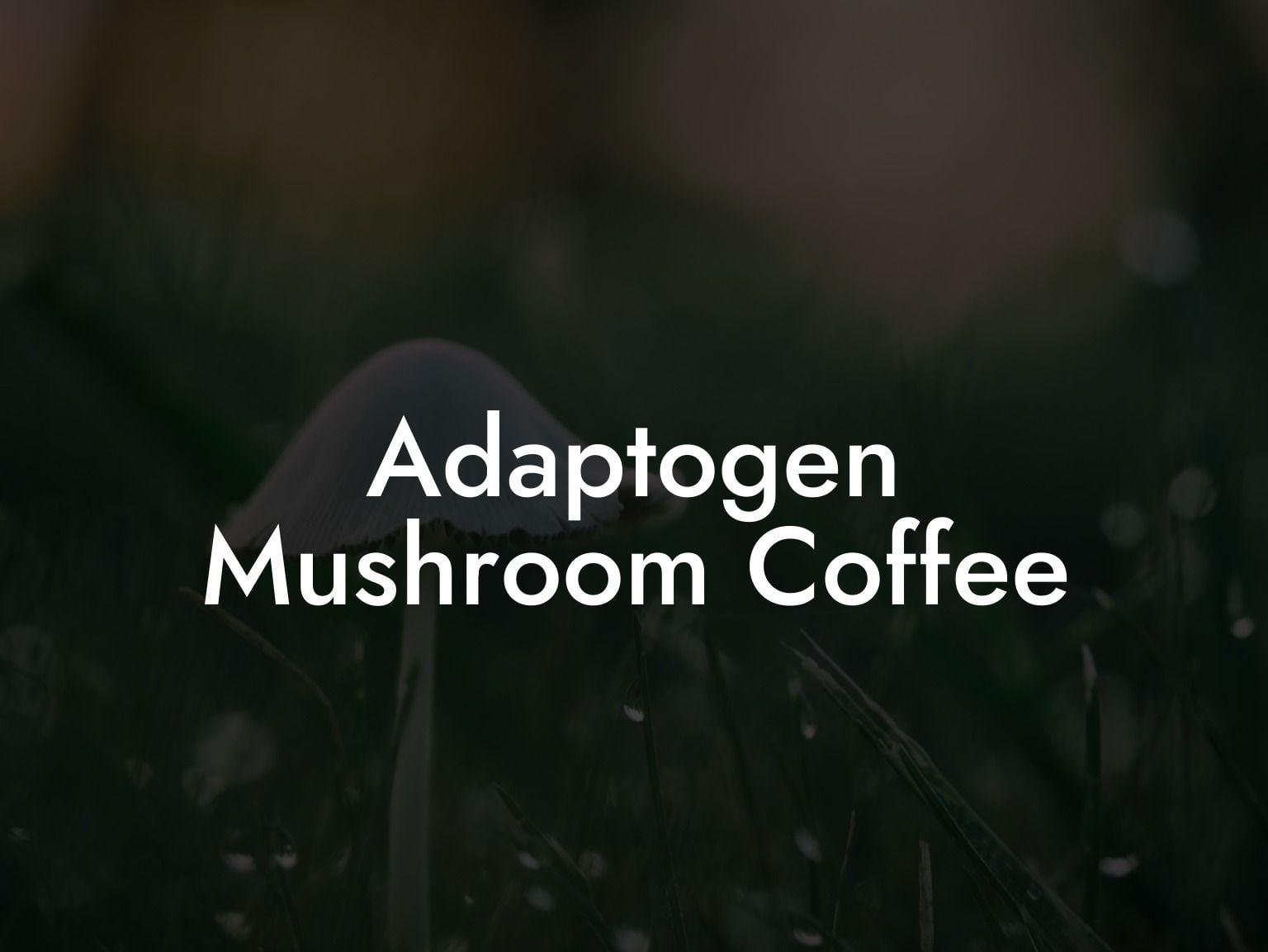 Adaptogen Mushroom Coffee