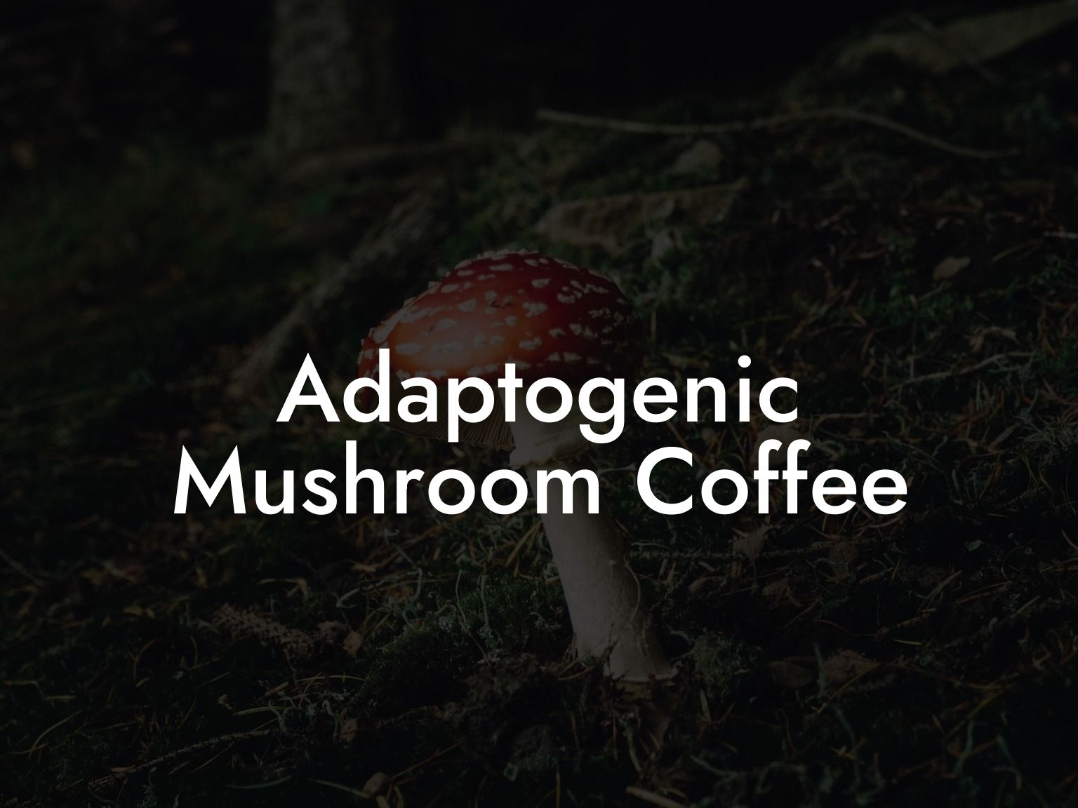 Adaptogenic Mushroom Coffee