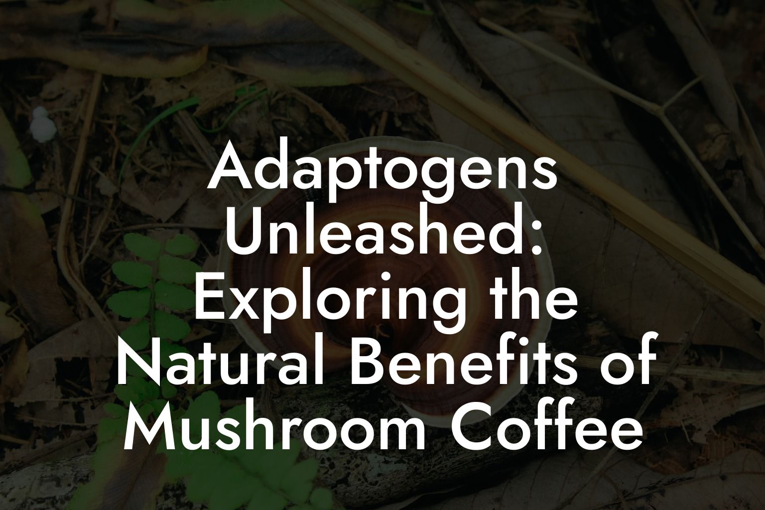 Adaptogens Unleashed: Exploring the Natural Benefits of Mushroom Coffee