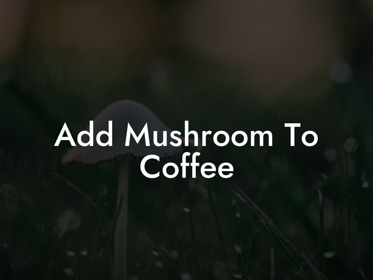 Add Mushroom To Coffee