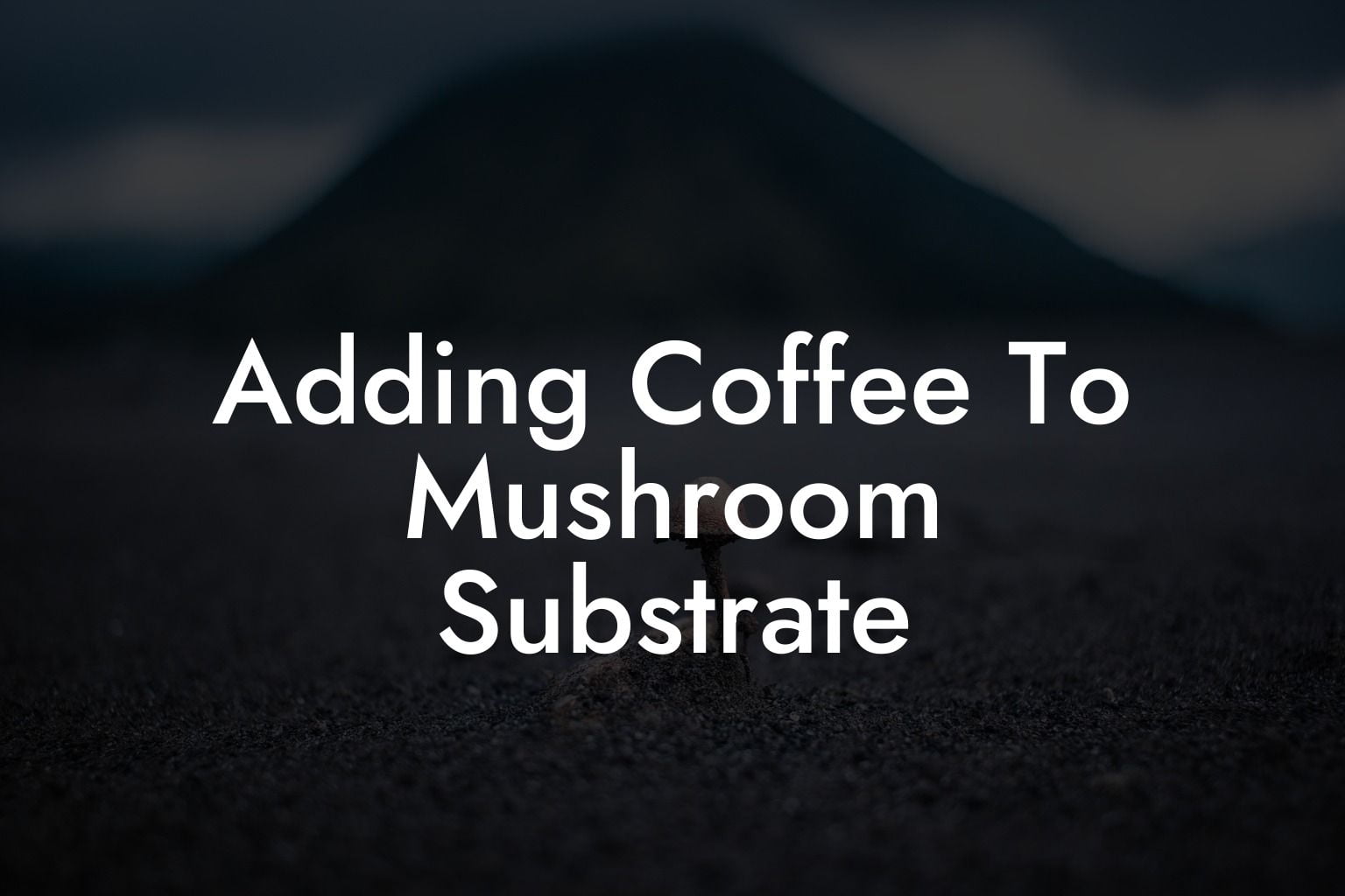 Adding Coffee To Mushroom Substrate