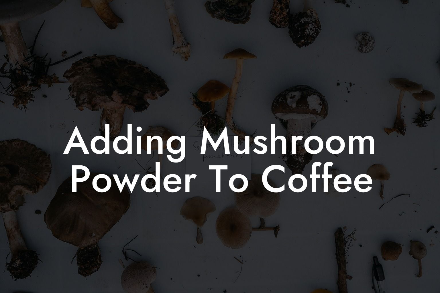Adding Mushroom Powder To Coffee