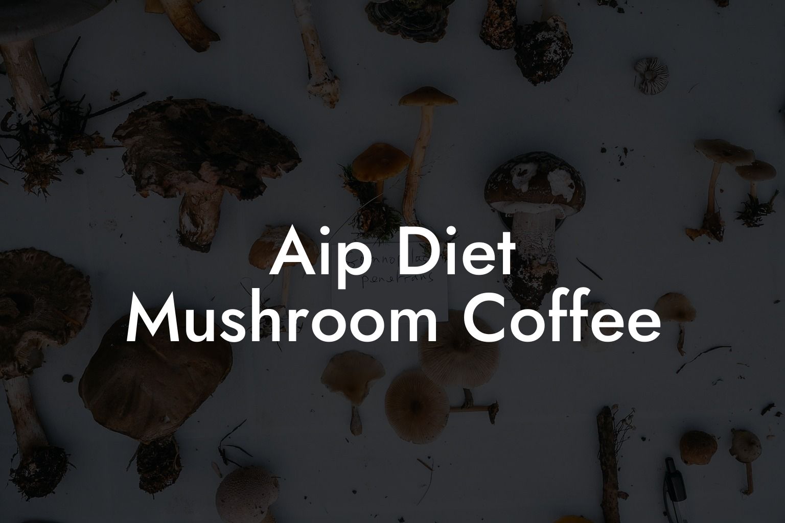 Aip Diet Mushroom Coffee