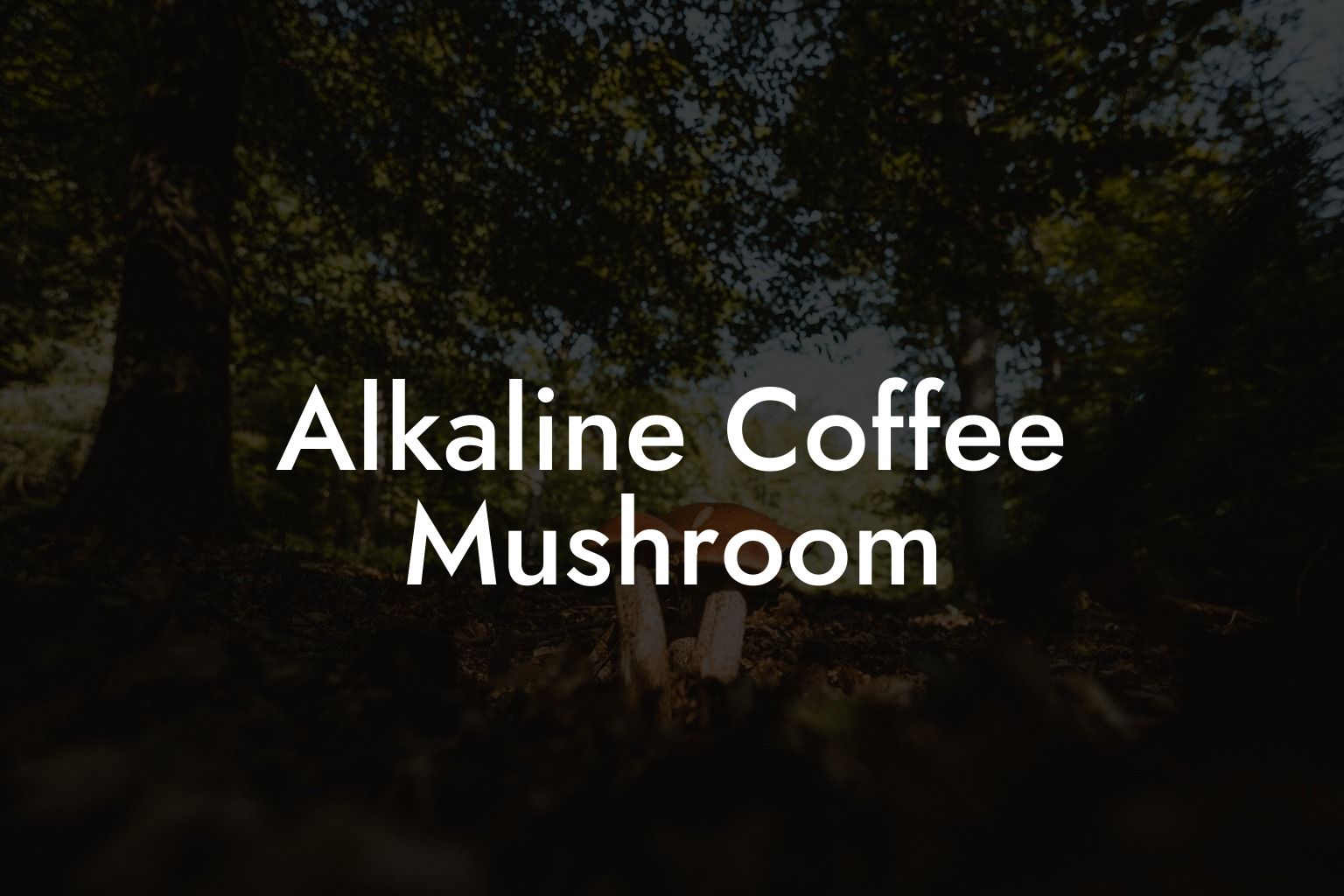 Alkaline Coffee Mushroom