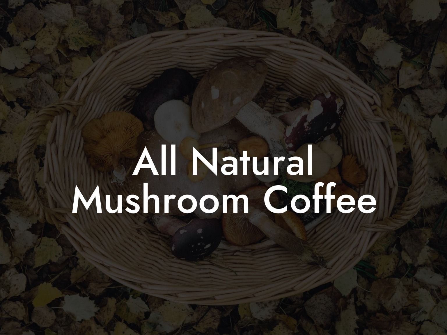 All Natural Mushroom Coffee