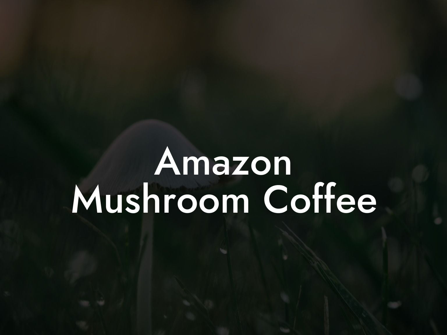 Amazon Mushroom Coffee