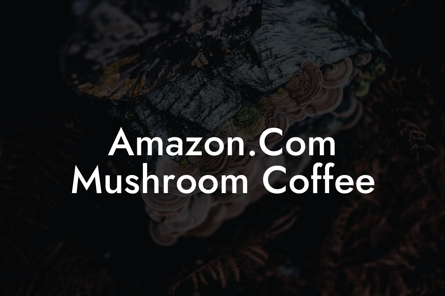 Amazon.Com Mushroom Coffee