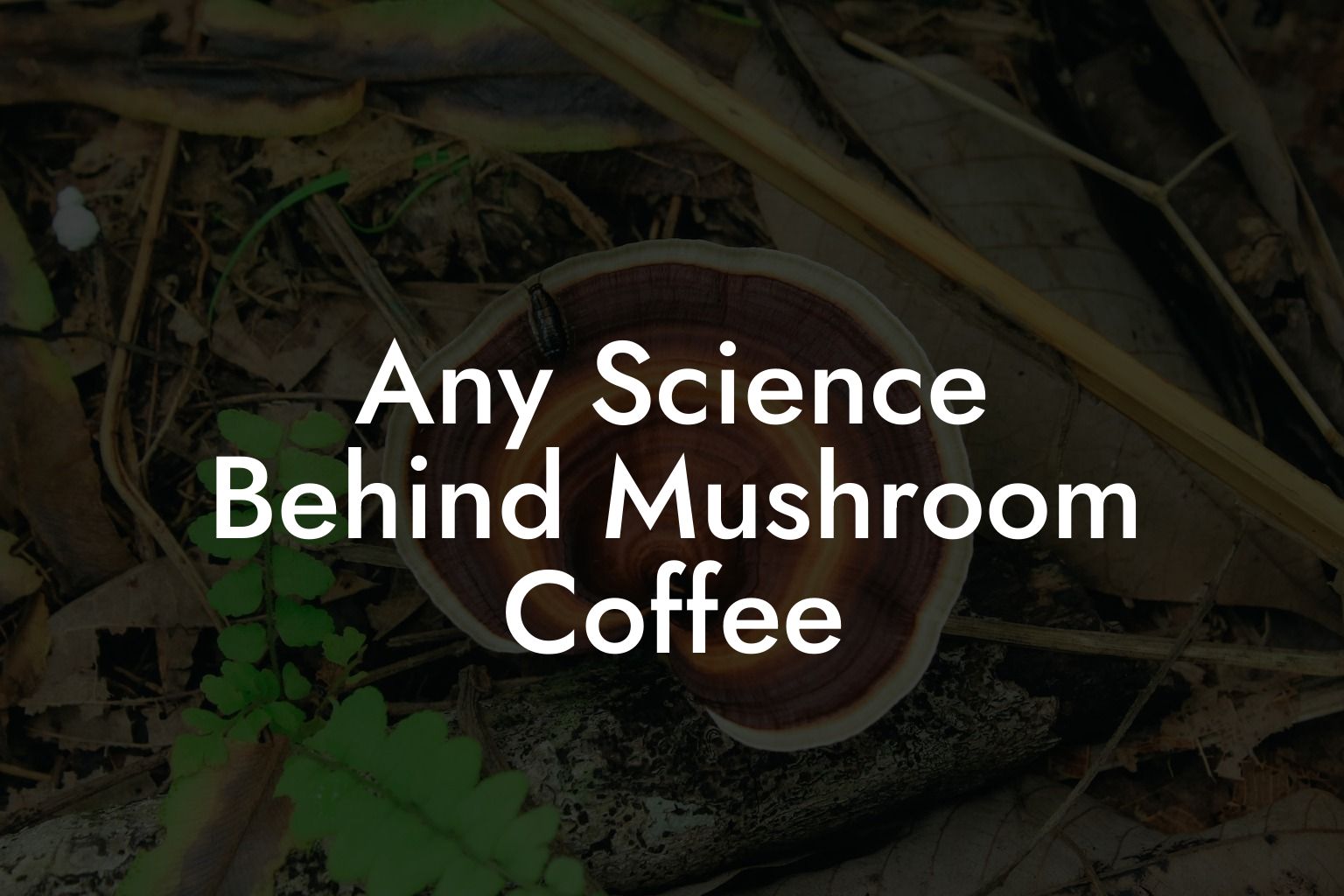Any Science Behind Mushroom Coffee