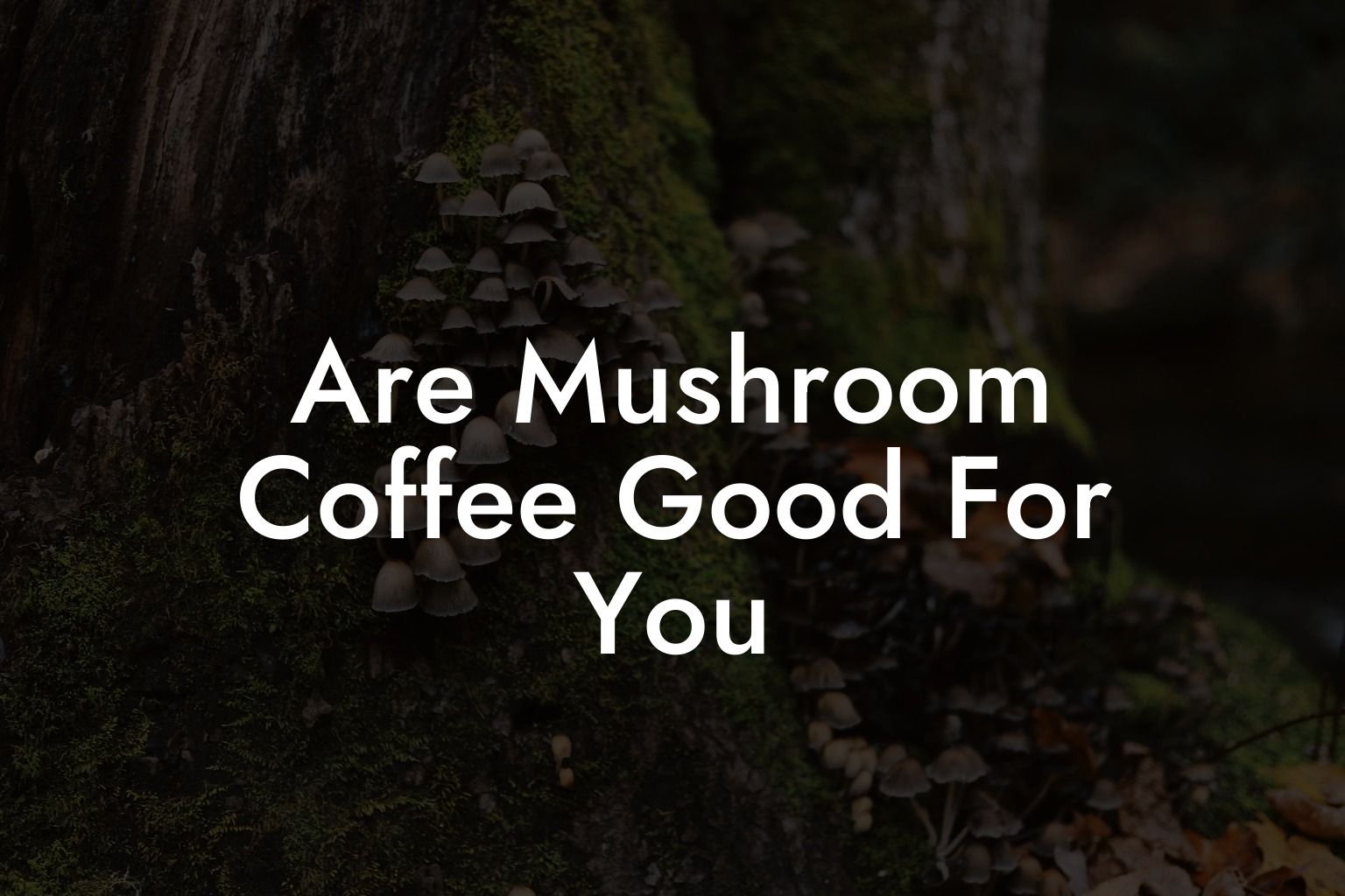 Are Mushroom Coffee Good For You