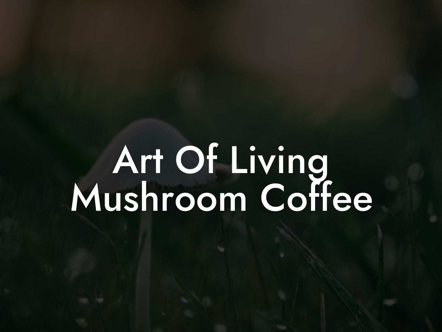 Art Of Living Mushroom Coffee