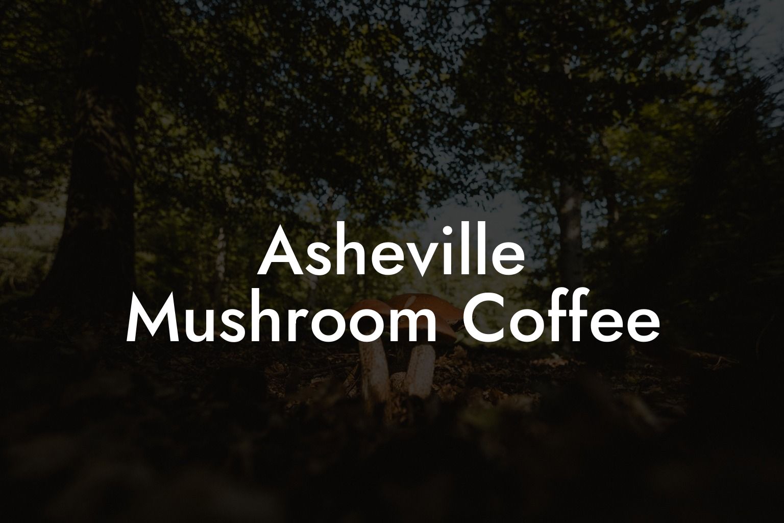 Asheville Mushroom Coffee