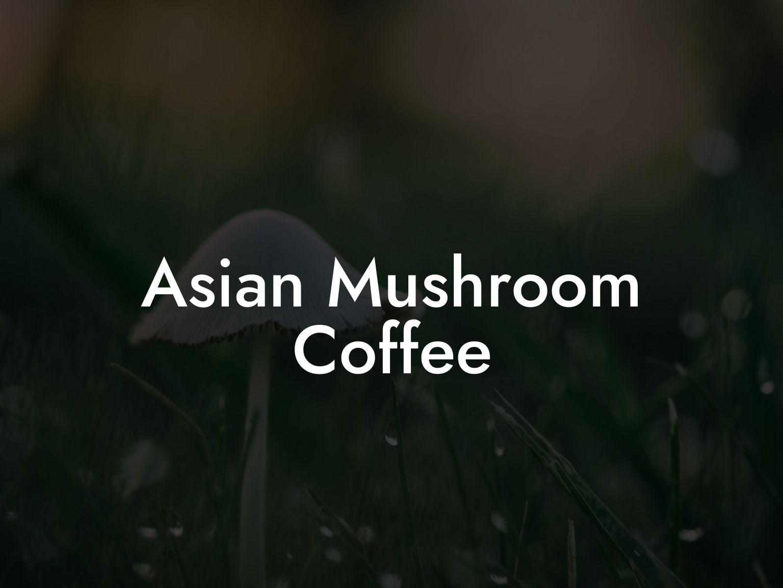 Asian Mushroom Coffee