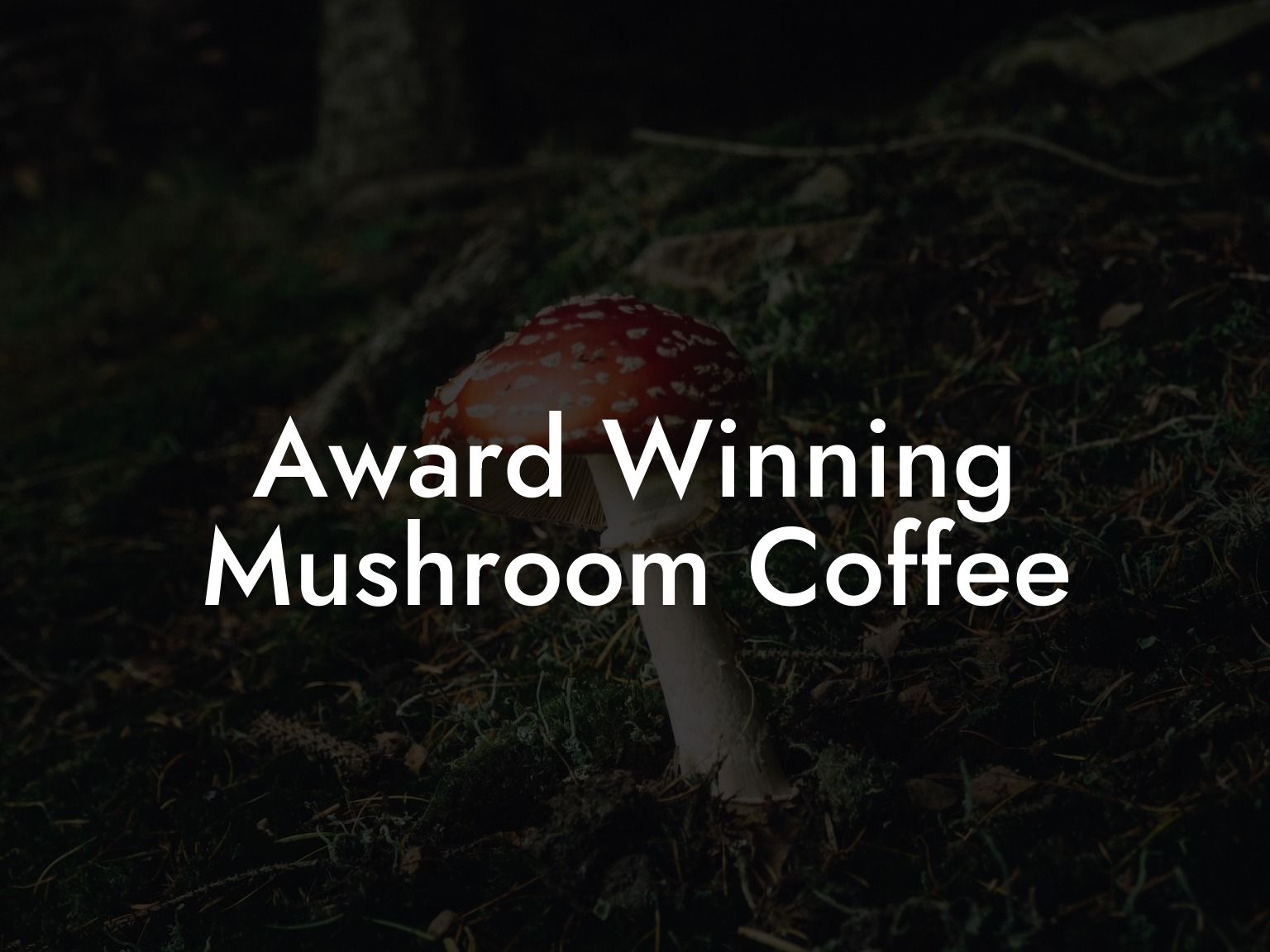 Award Winning Mushroom Coffee