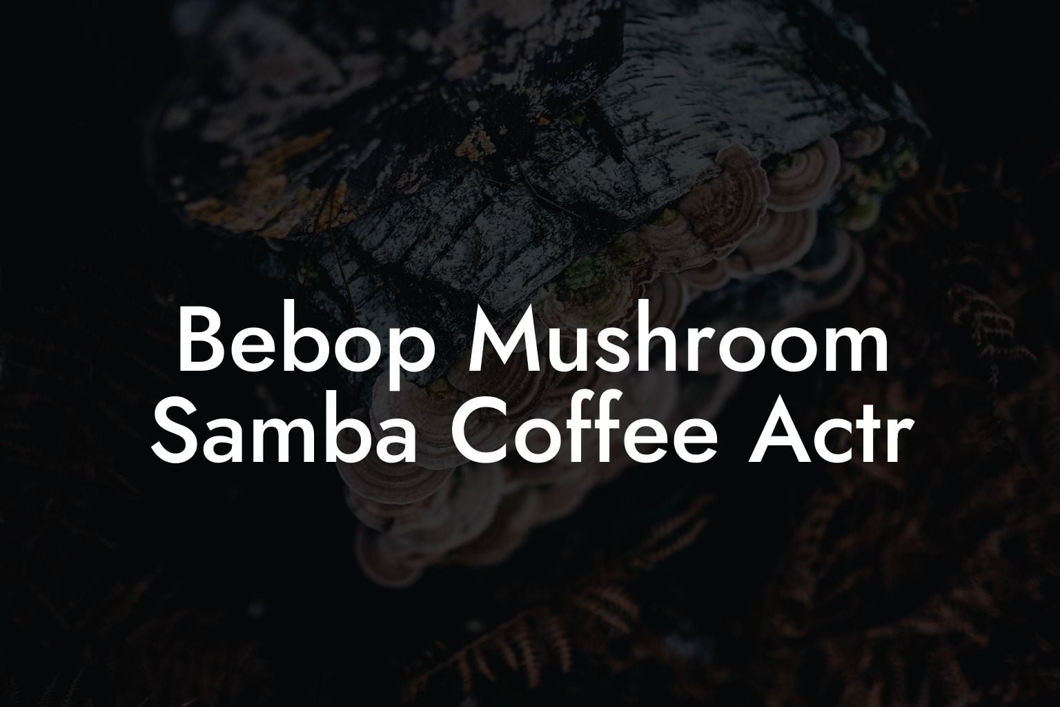 Bebop Mushroom Samba Coffee Actr Mr Mushroom 9259