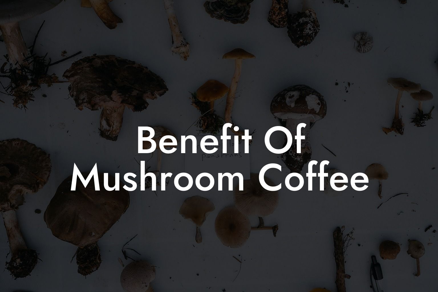 Benefit Of Mushroom Coffee