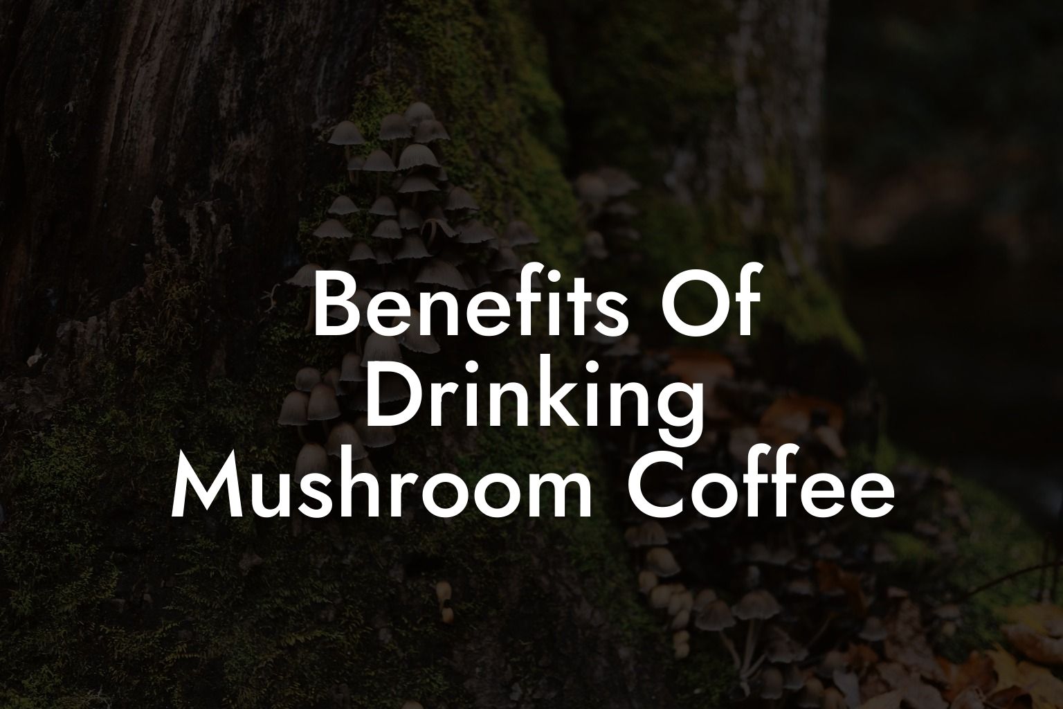 Benefits Of Drinking Mushroom Coffee