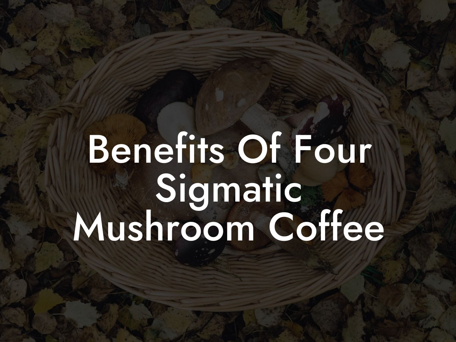 Benefits Of Four Sigmatic Mushroom Coffee
