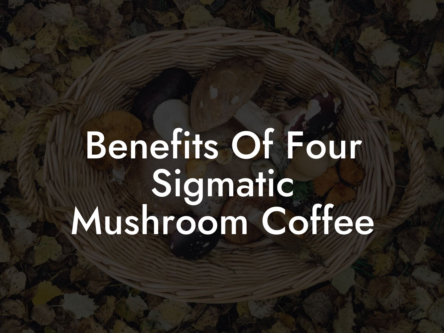 Benefits Of Four Sigmatic Mushroom Coffee Mr Mushroom