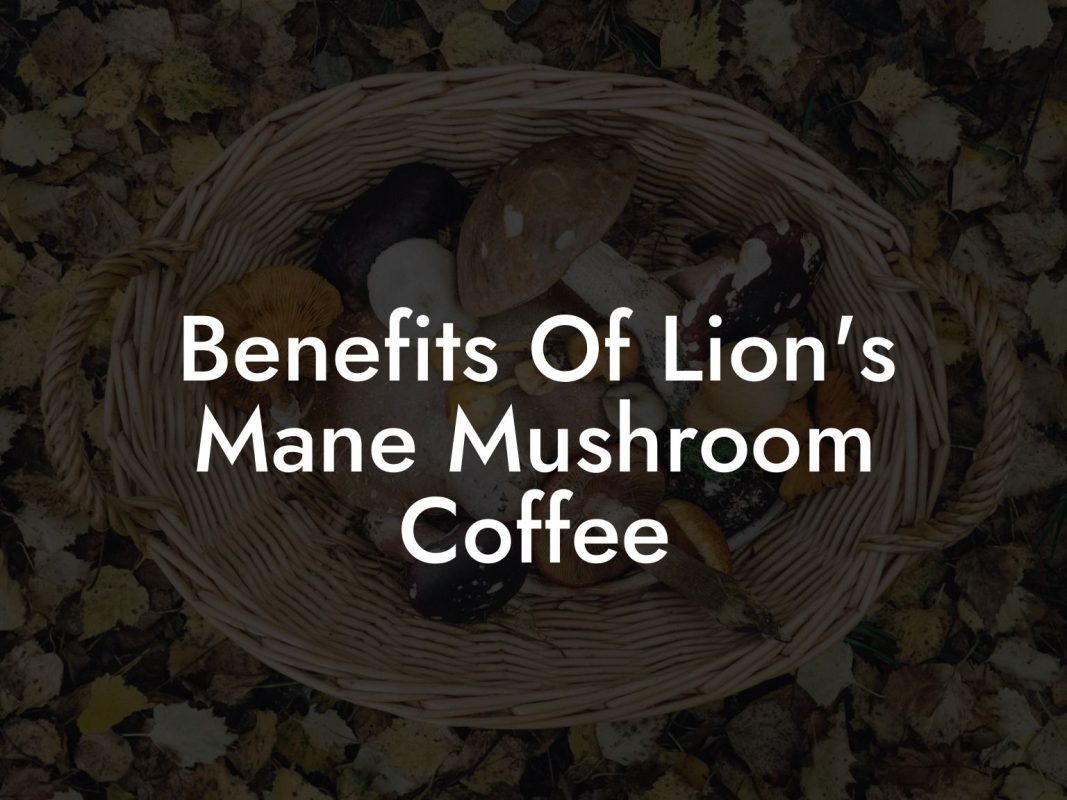 Benefits Of Lion's Mane Mushroom Coffee