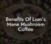 Benefits Of Lion's Mane Mushroom Coffee