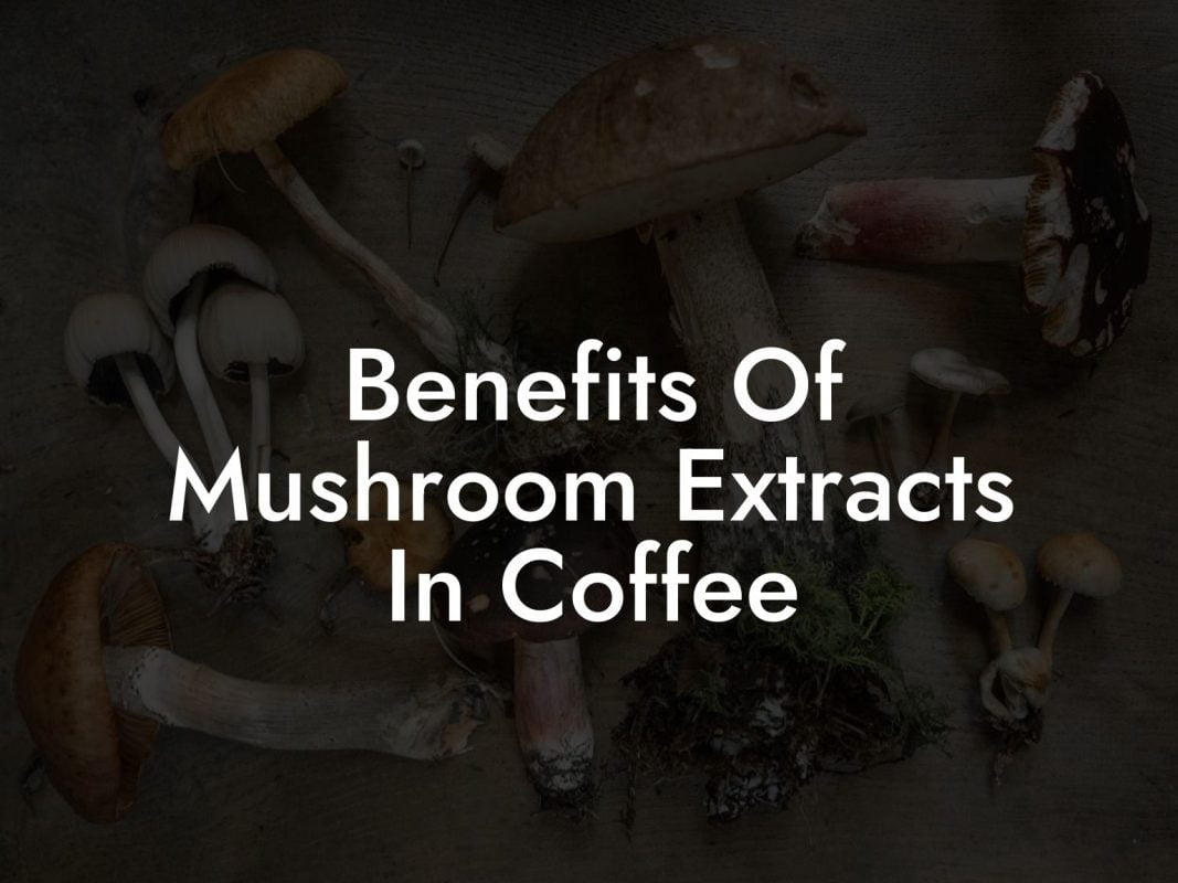 Benefits Of Mushroom Extracts In Coffee