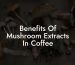 Benefits Of Mushroom Extracts In Coffee