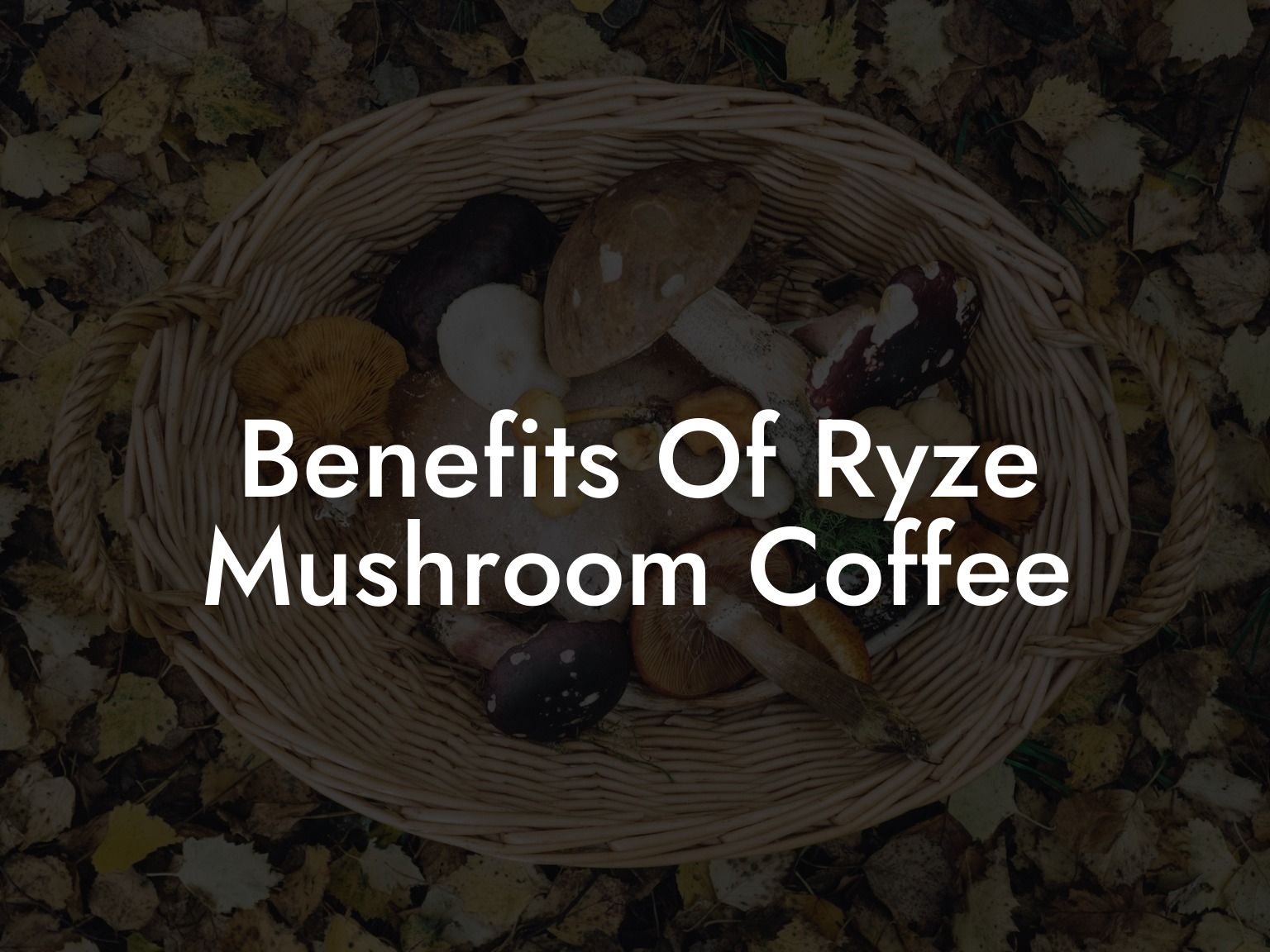 Benefits Of Ryze Mushroom Coffee