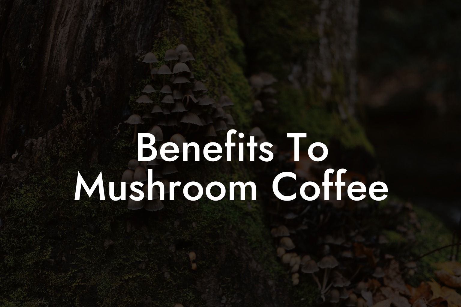 Benefits To Mushroom Coffee