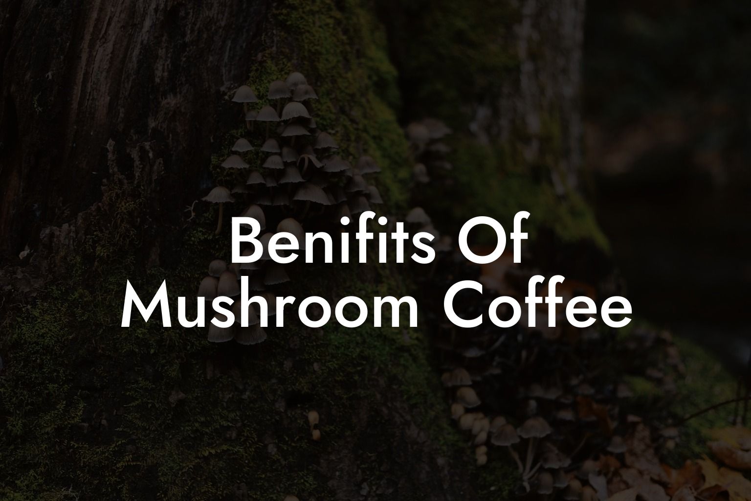 Benifits Of Mushroom Coffee