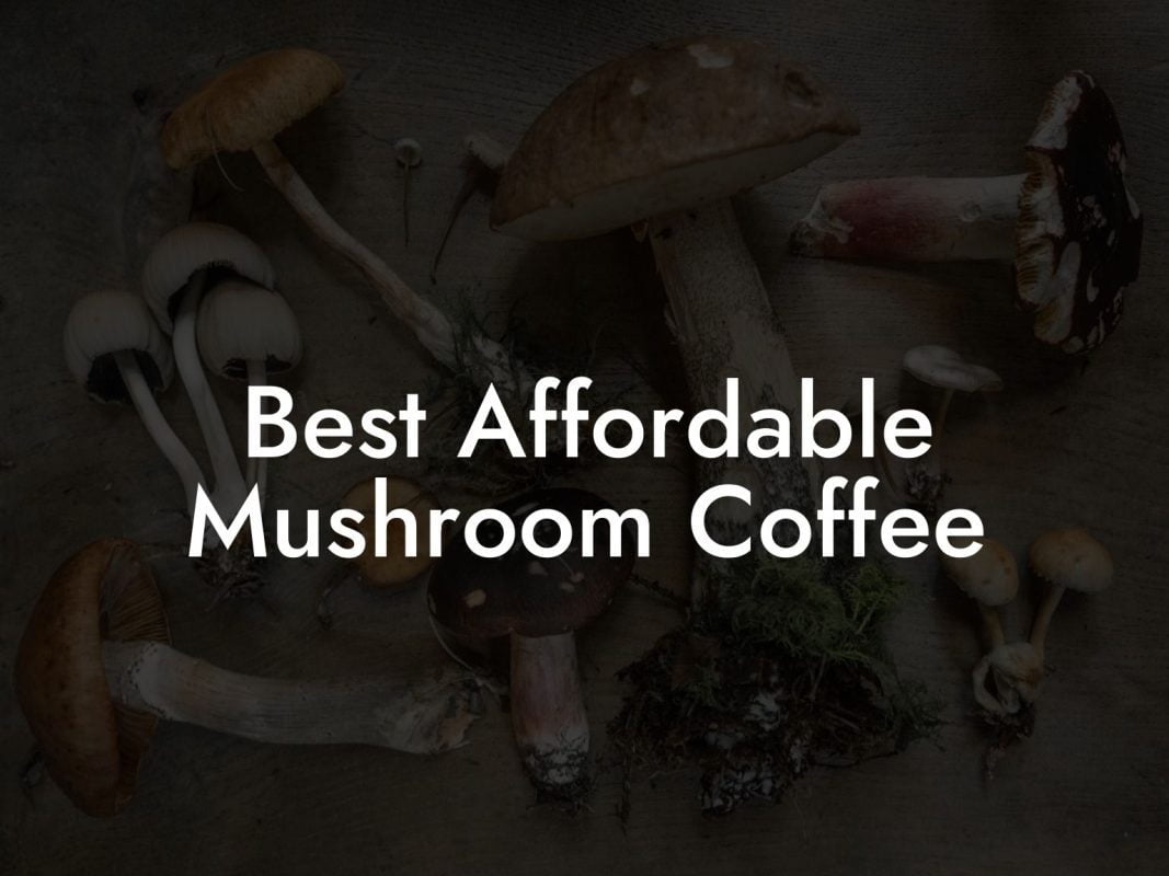 Best Affordable Mushroom Coffee