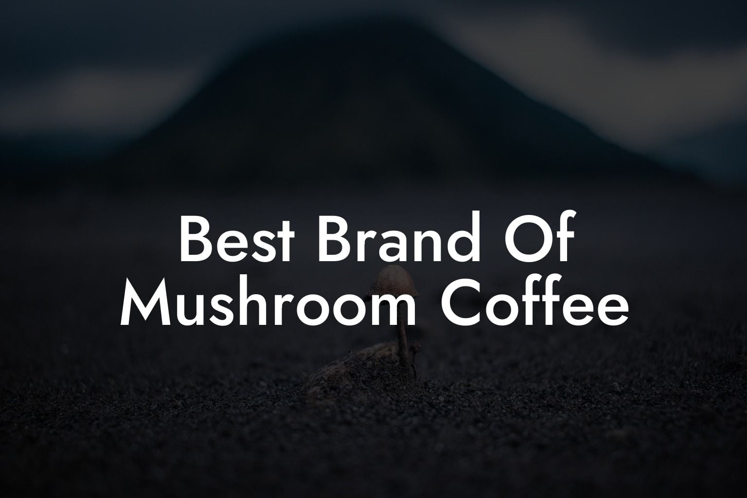 Best Brand Of Mushroom Coffee