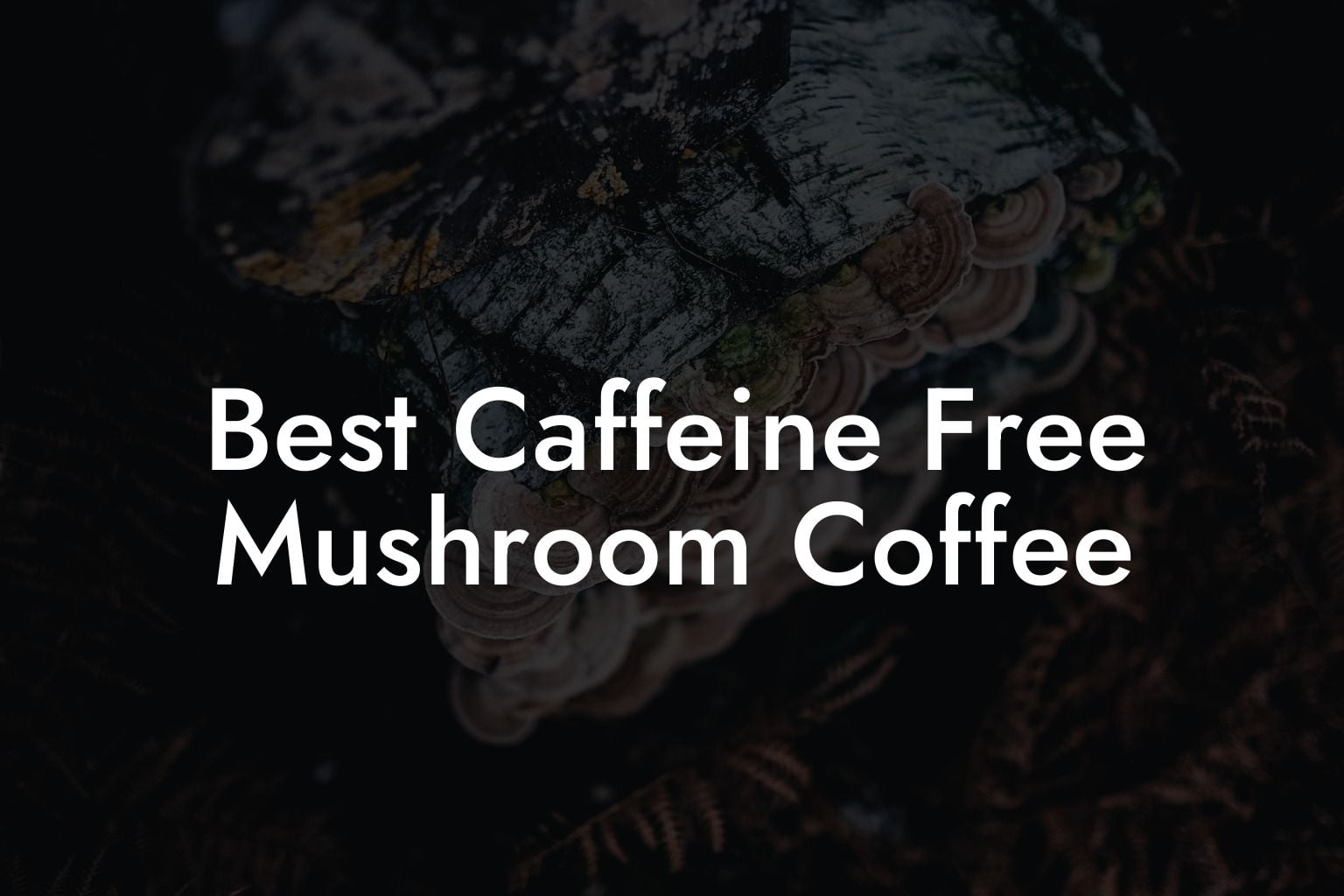 Best Caffeine Free Mushroom Coffee Mr Mushroom