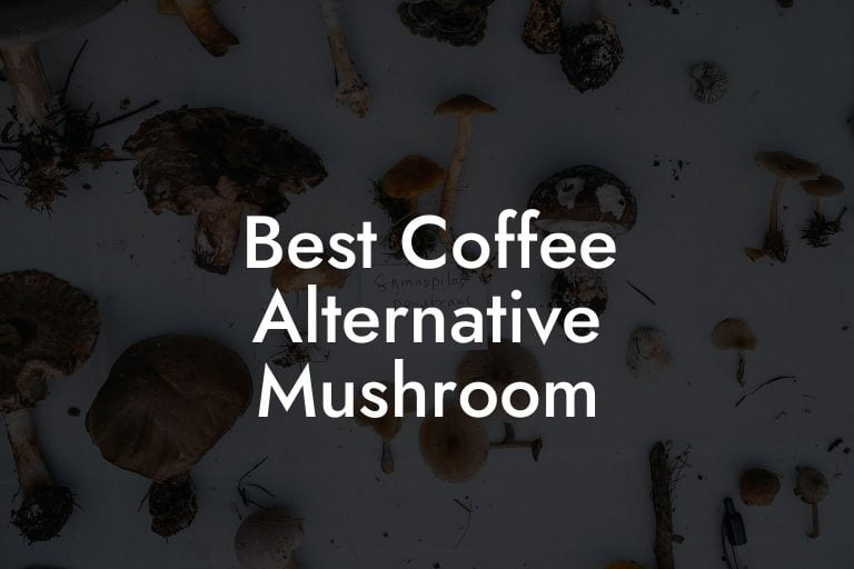 Best Coffee Alternative Mushroom Mr Mushroom