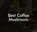 Best Coffee Mushroom