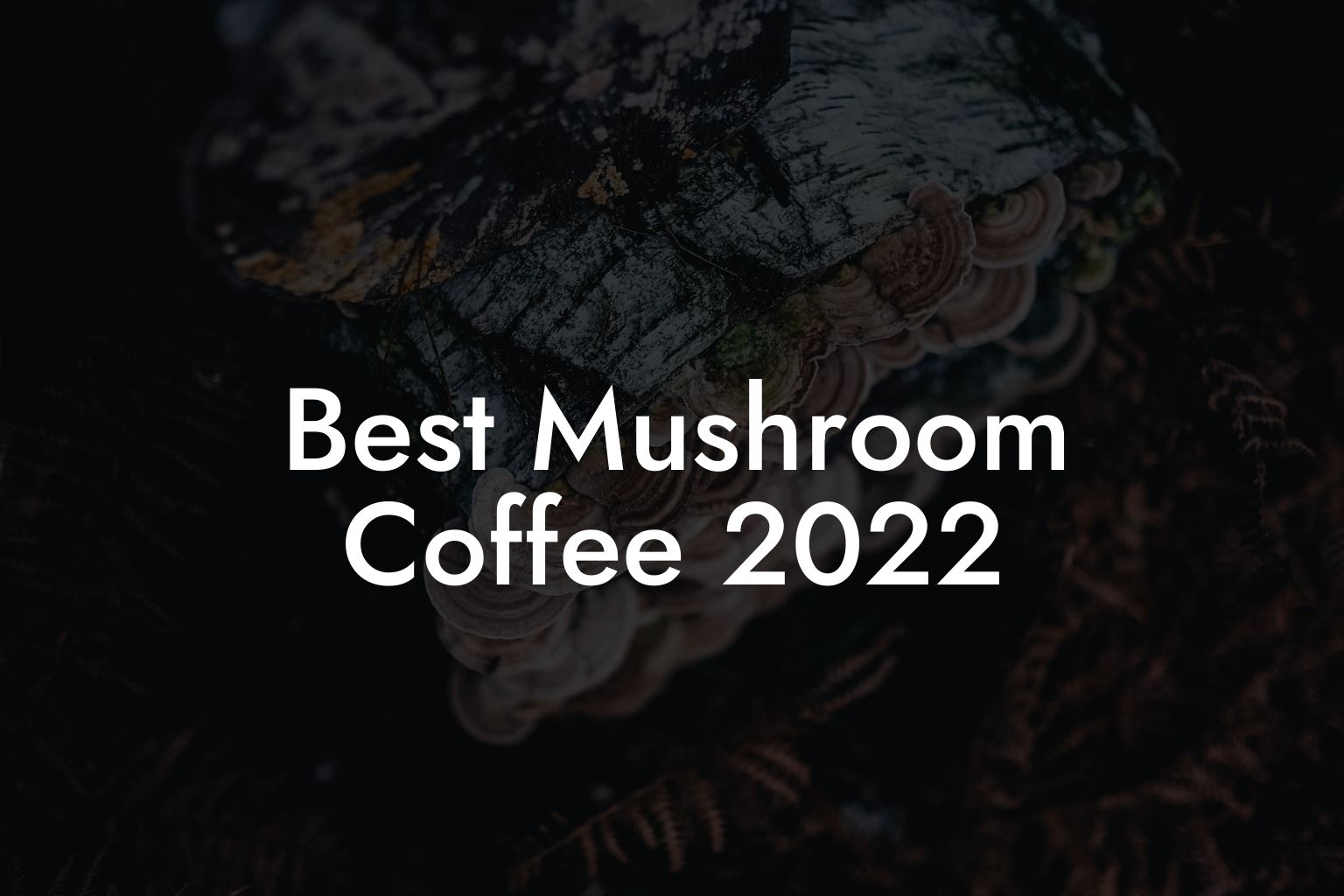 Best Mushroom Coffee 2022