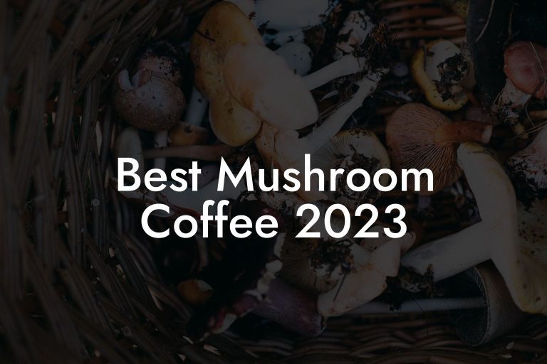 Best Mushroom Coffee 2023 Mr Mushroom