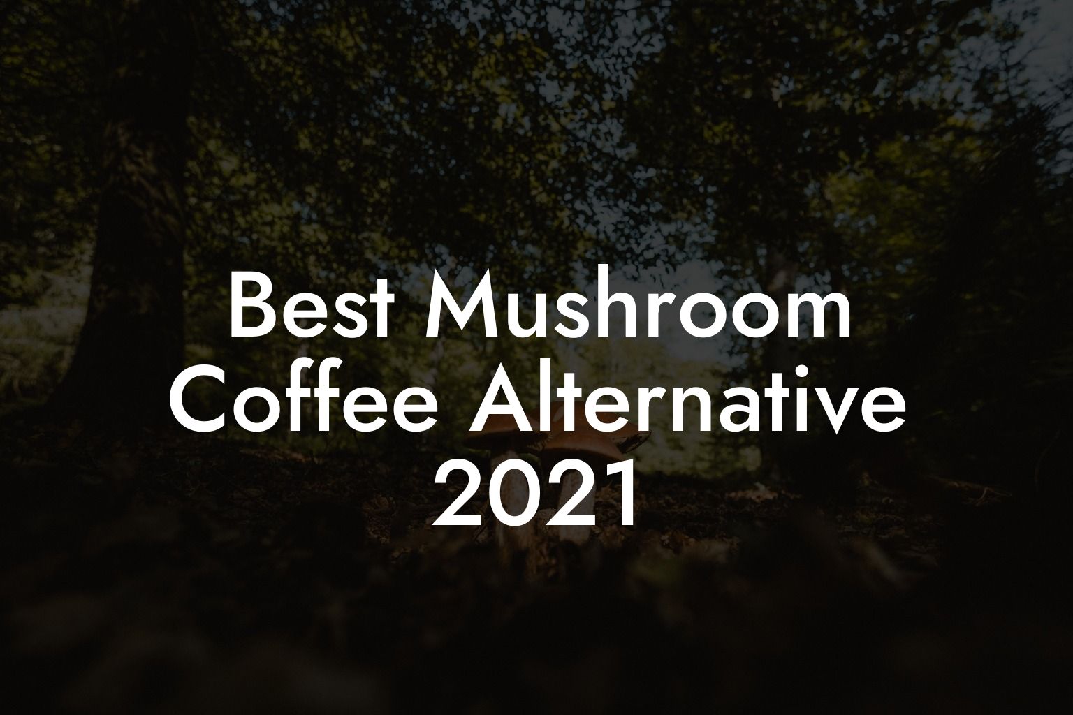 Best Mushroom Coffee Alternative 2021