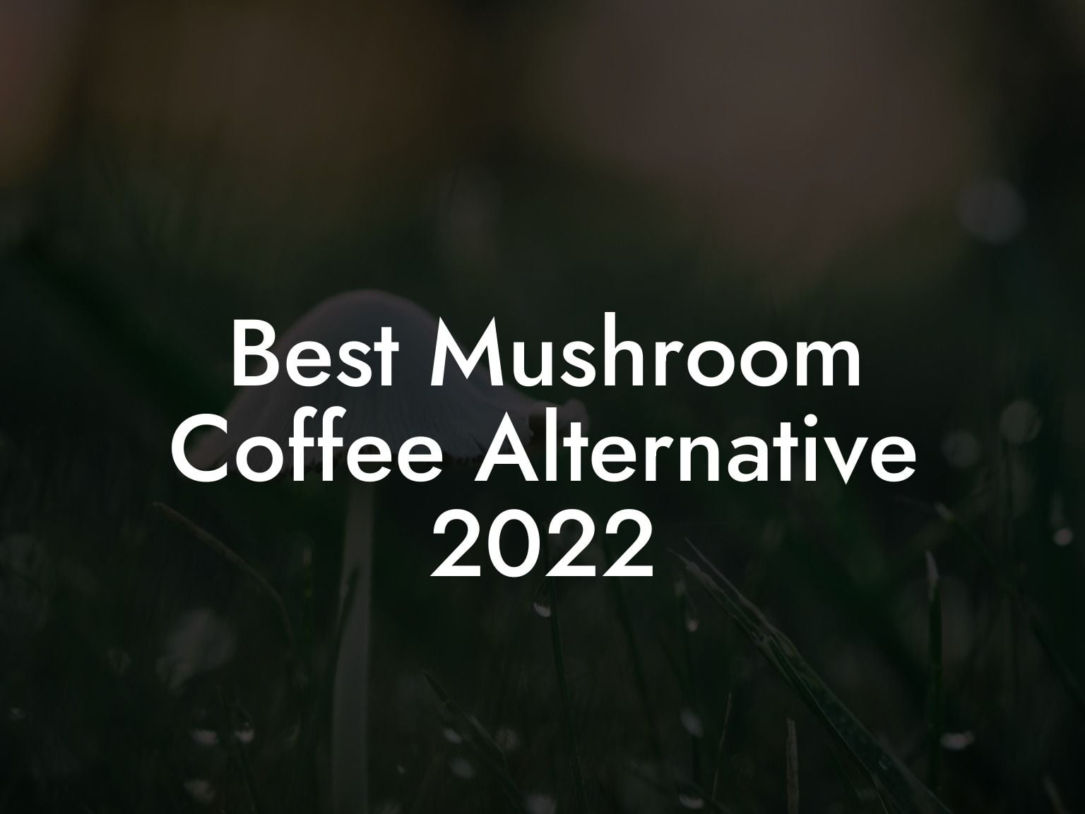 Best Mushroom Coffee Alternative 2022