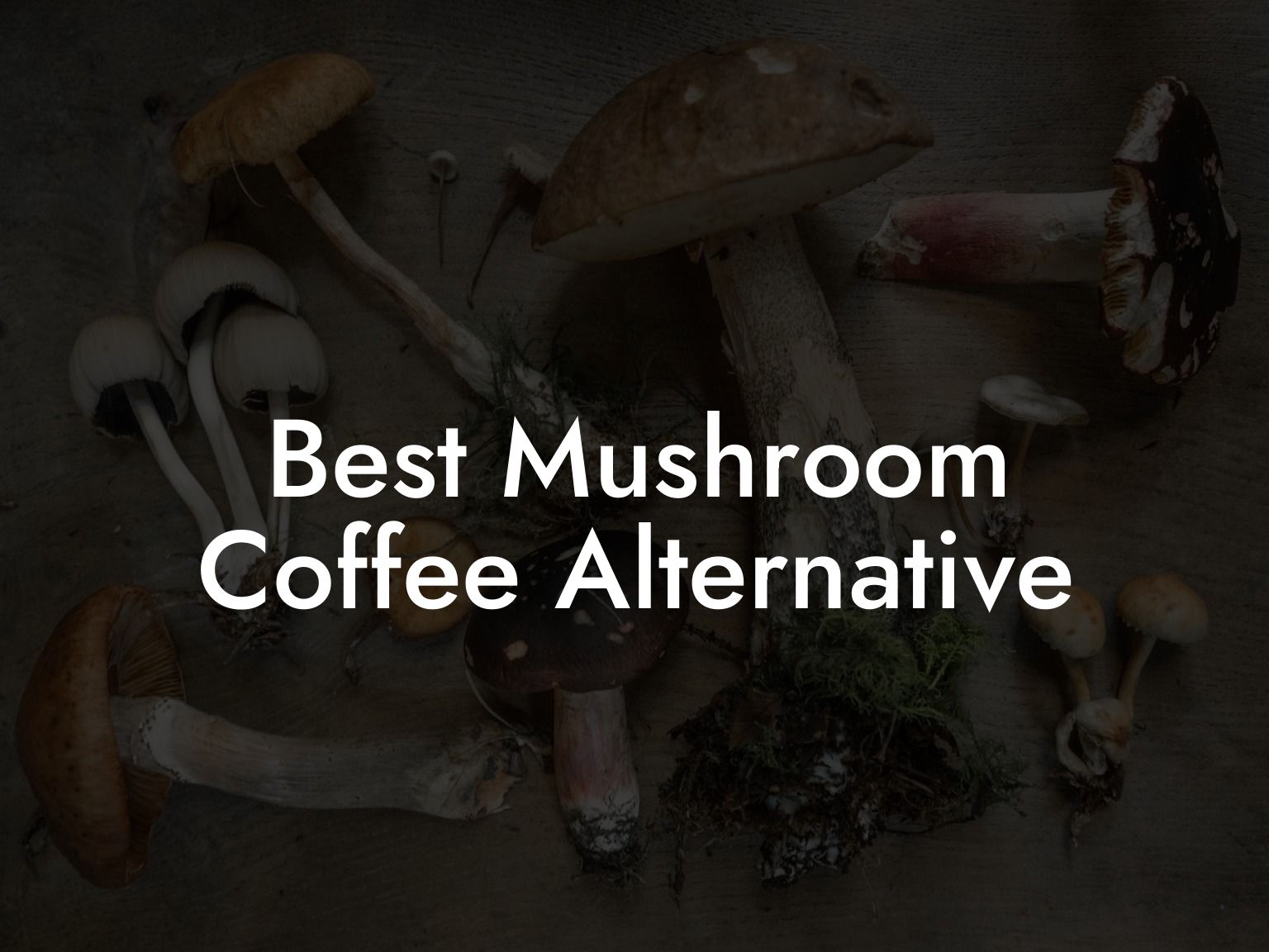 Best Mushroom Coffee Alternative